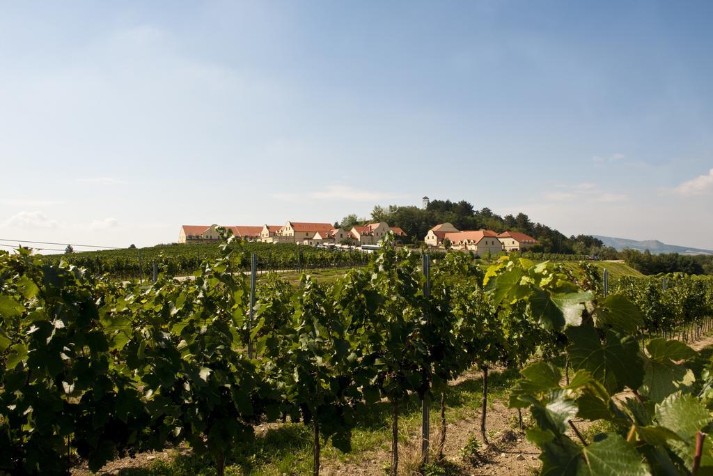 Vinarstvi U Kaplicky Zaječí Bagian luar foto