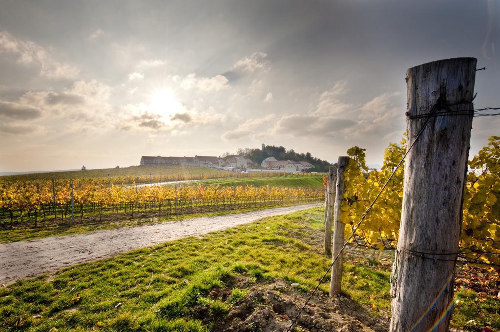Vinarstvi U Kaplicky Zaječí Bagian luar foto